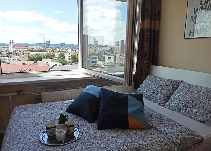 9th Floor Amazing View 维尔纽斯