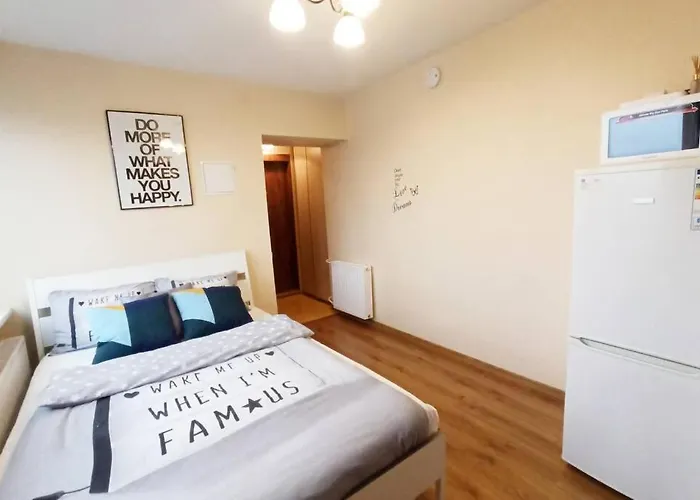 9th Floor Amazing View 维尔纽斯